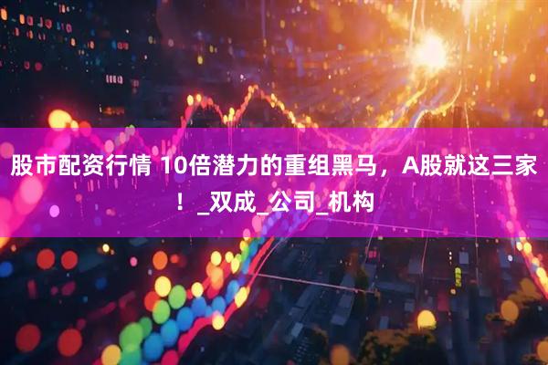 股市配资行情 10倍潜力的重组黑马，A股就这三家！_双成_公司_机构
