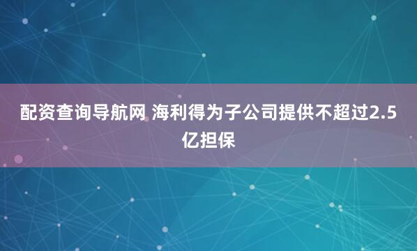 配资查询导航网 海利得为子公司提供不超过2.5亿担保