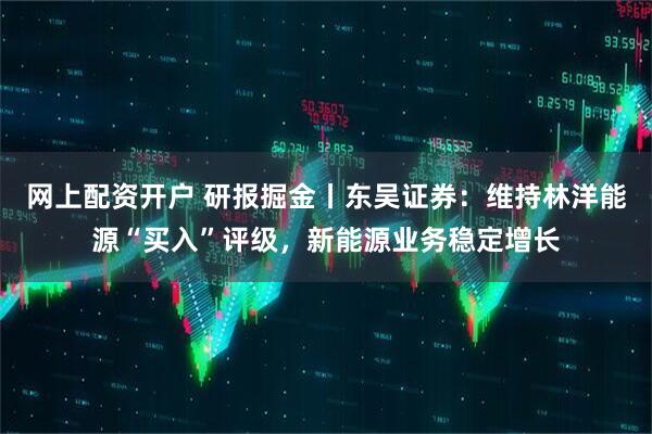 网上配资开户 研报掘金丨东吴证券：维持林洋能源“买入”评级，新能源业务稳定增长