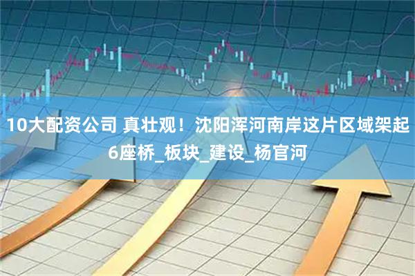 10大配资公司 真壮观！沈阳浑河南岸这片区域架起6座桥_板块_建设_杨官河